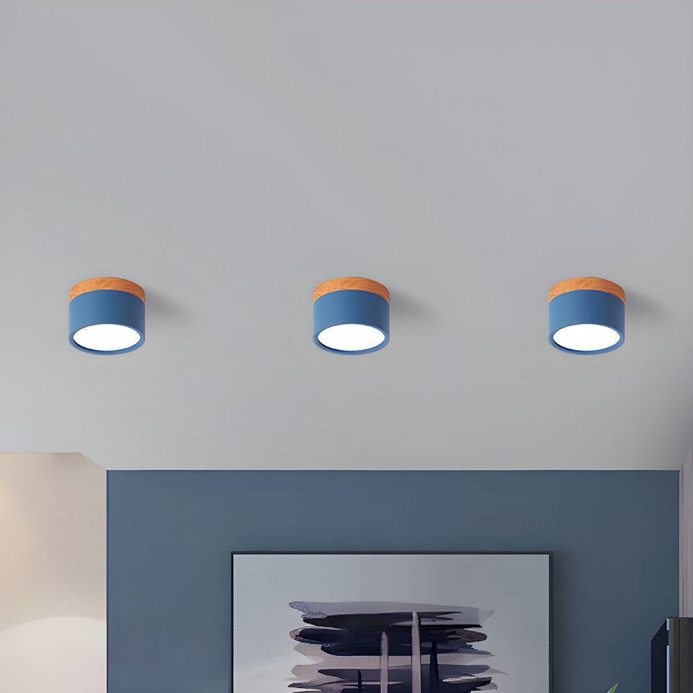 Small LED Flush Mount Ceiling Light Fixture – Modern Cylinder Ceiling Light