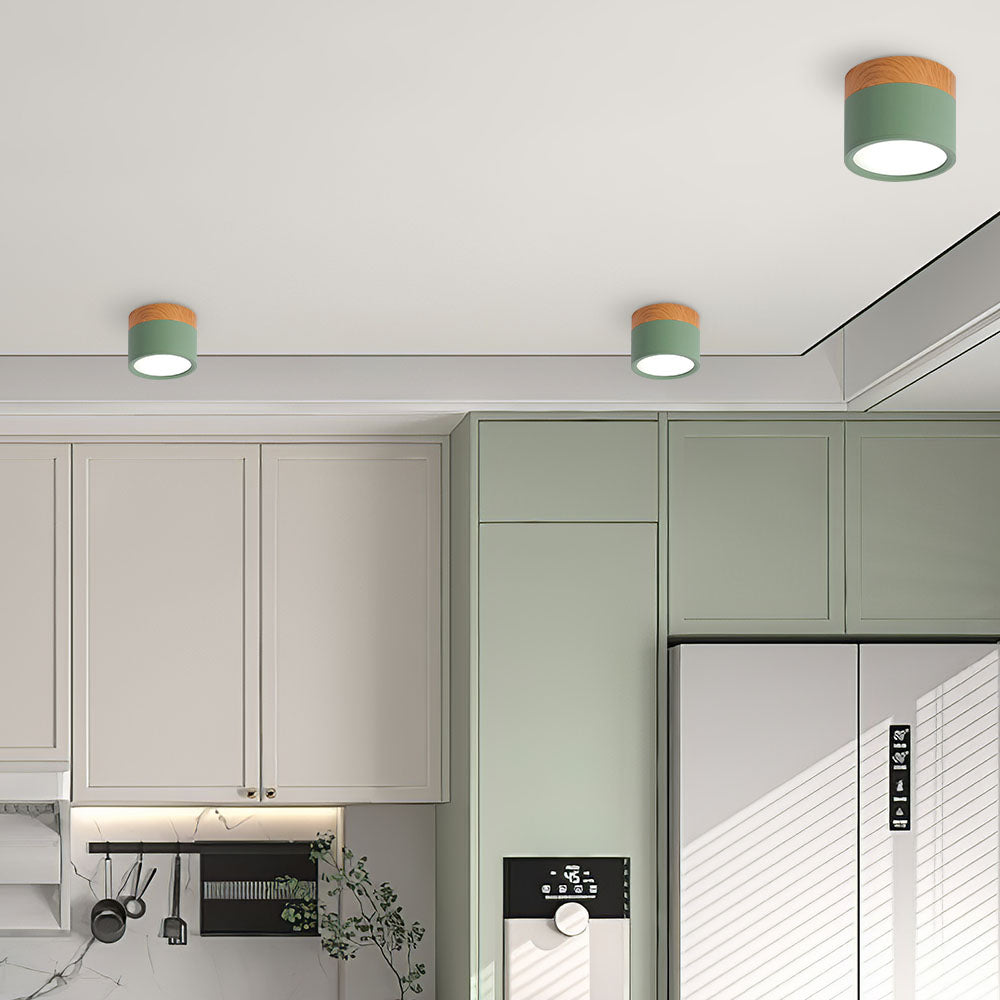Small LED Flush Mount Ceiling Light Fixture – Modern Cylinder Ceiling Light