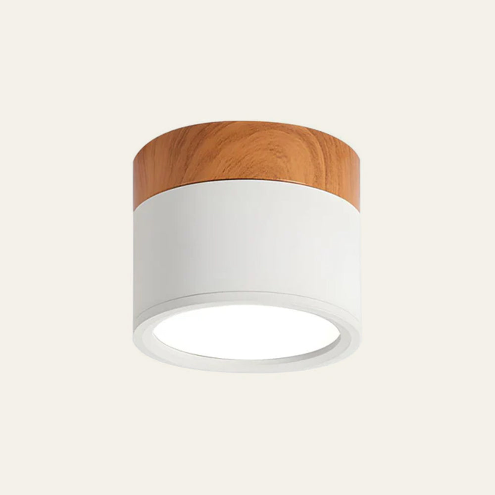 Small LED Flush Mount Ceiling Light Fixture – Modern Cylinder Ceiling Light