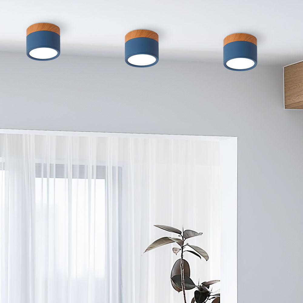 Small LED Flush Mount Ceiling Light Fixture – Modern Cylinder Ceiling Light