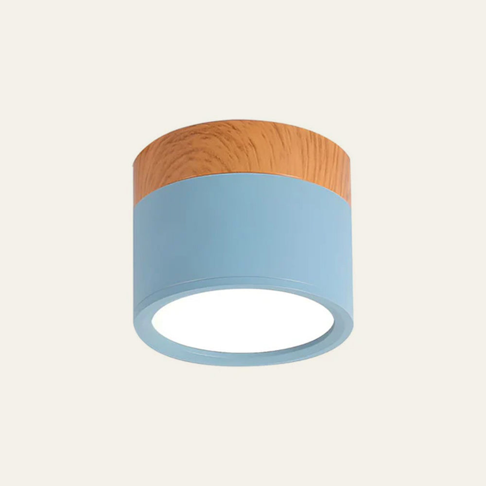 Small LED Flush Mount Ceiling Light Fixture – Modern Cylinder Ceiling Light