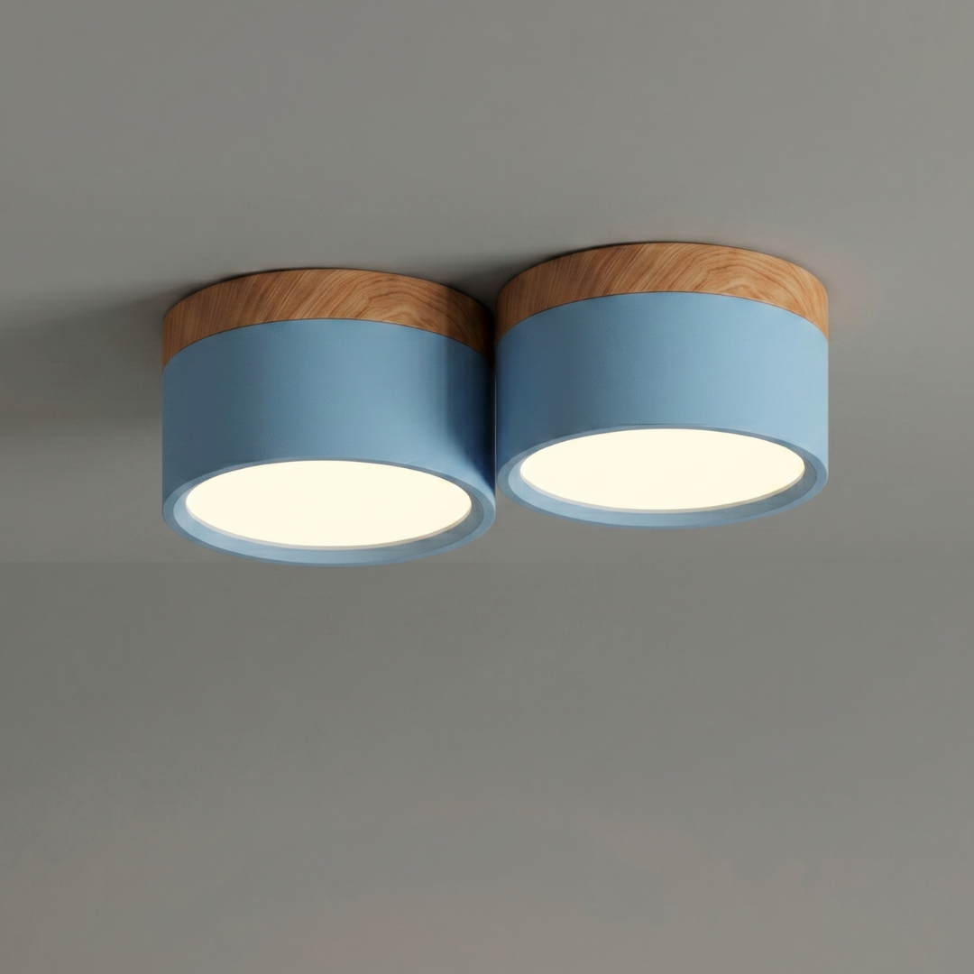 Small LED Flush Mount Ceiling Light Fixture – Modern Cylinder Ceiling Light
