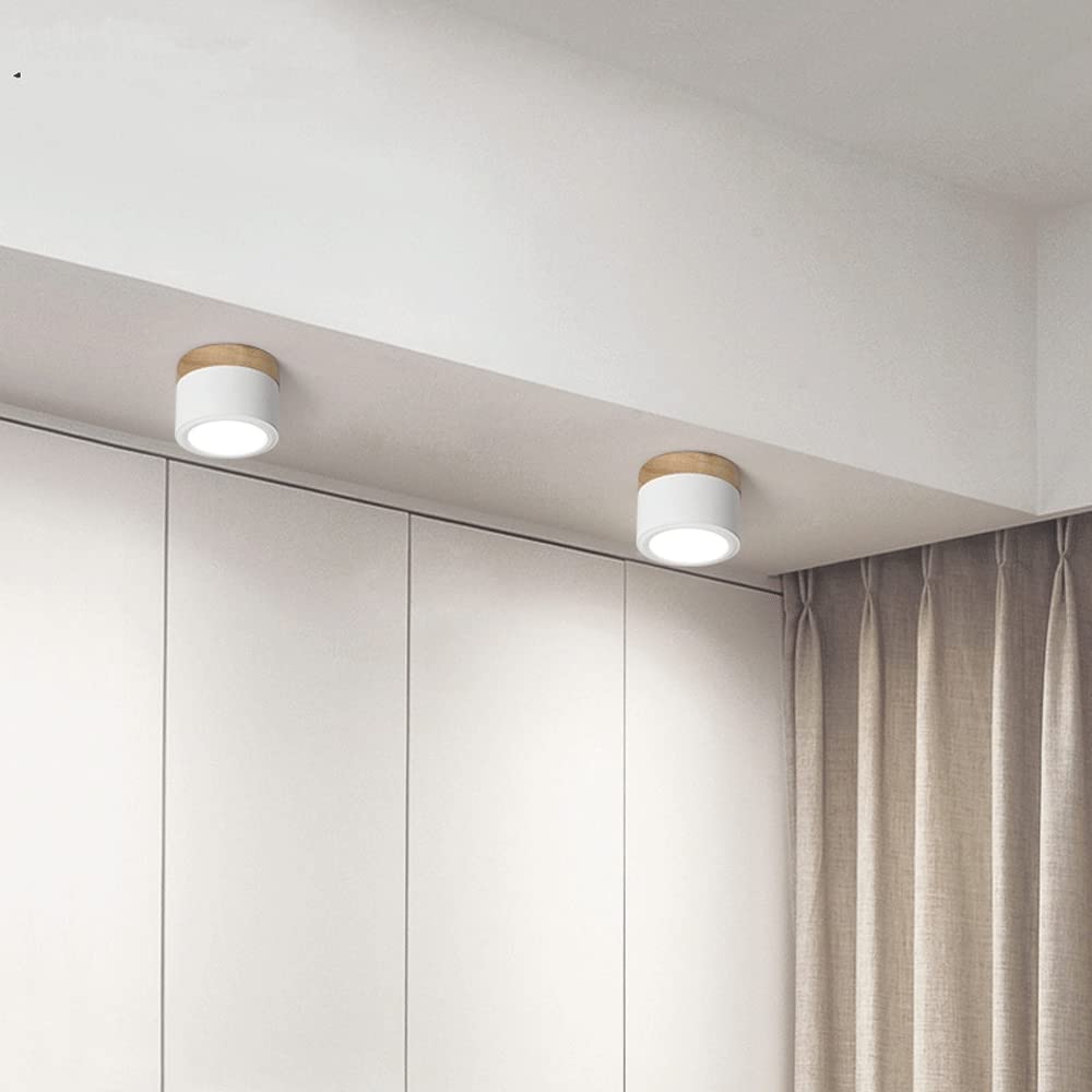 Small LED Flush Mount Ceiling Light Fixture – Modern Cylinder Ceiling Light