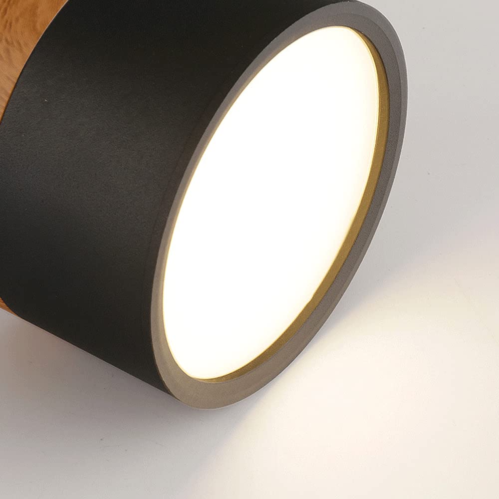 Small LED Flush Mount Ceiling Light Fixture – Modern Cylinder Ceiling Light