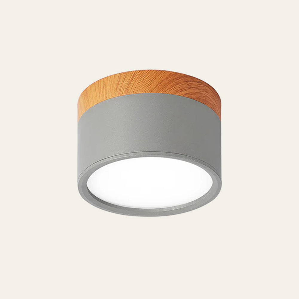 Small LED Flush Mount Ceiling Light Fixture – Modern Cylinder Ceiling Light