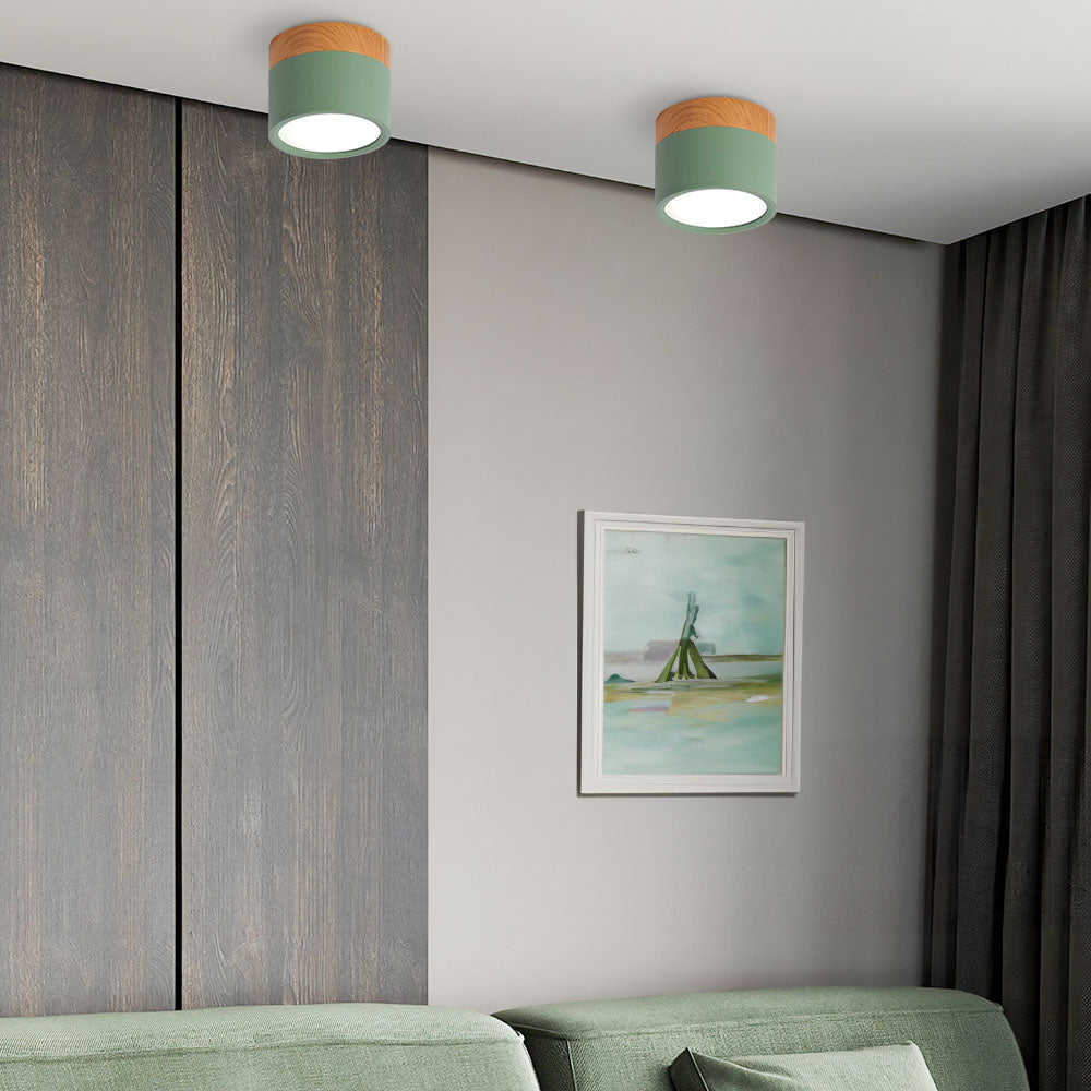 Small LED Flush Mount Ceiling Light Fixture – Modern Cylinder Ceiling Light