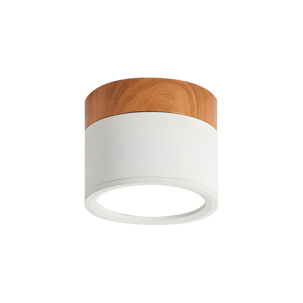Small LED Flush Mount Ceiling Light Fixture – Modern Cylinder Ceiling Light