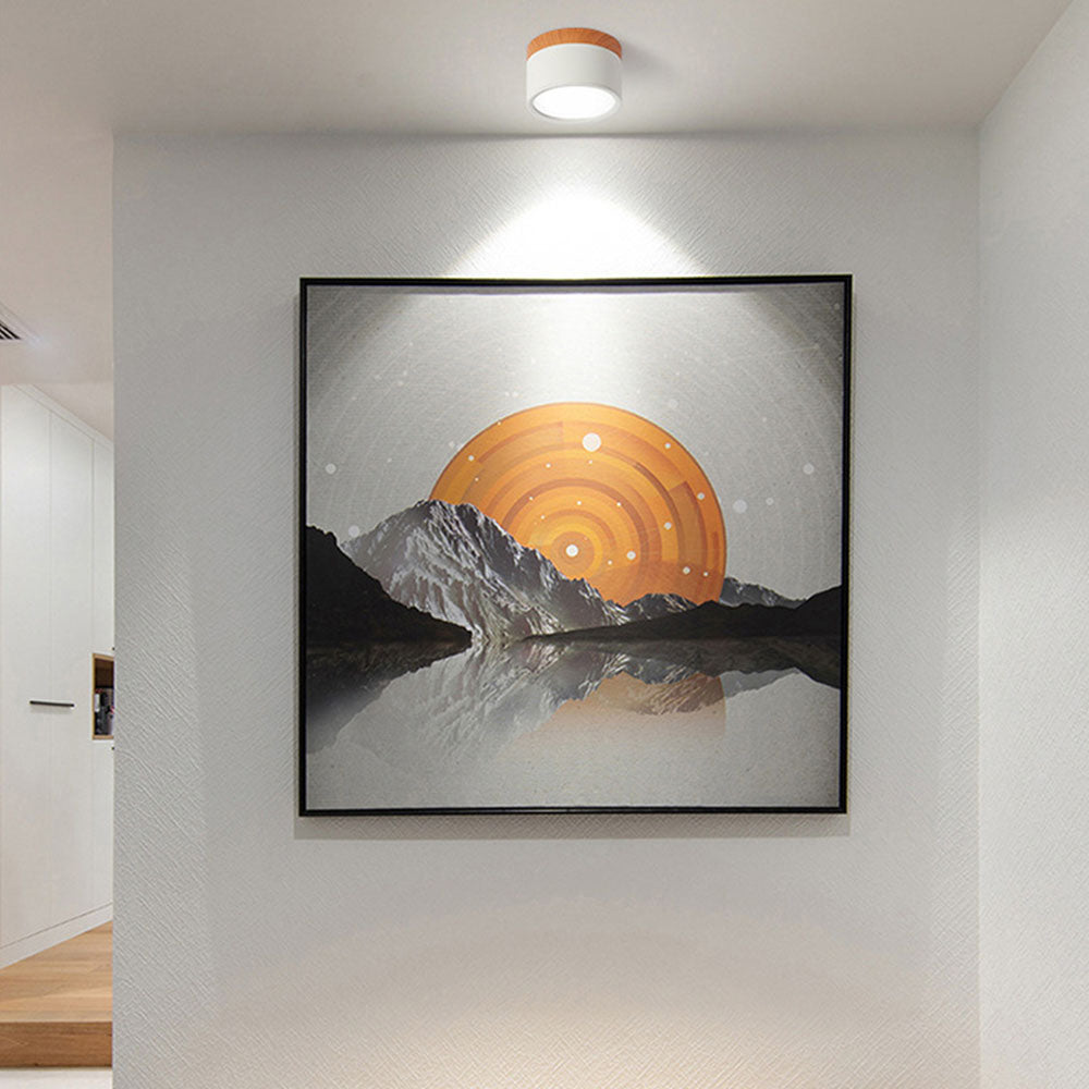 Small LED Flush Mount Ceiling Light Fixture – Modern Cylinder Ceiling Light