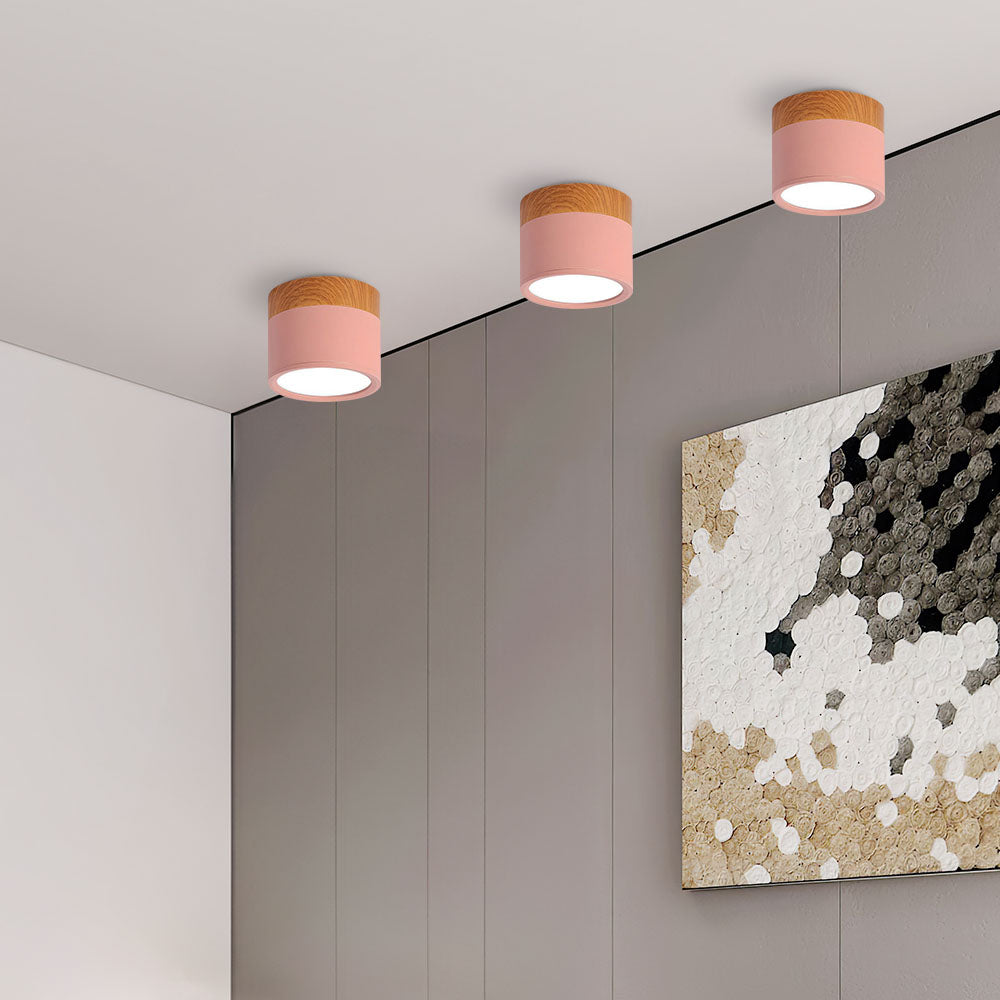 Small LED Flush Mount Ceiling Light Fixture – Modern Cylinder Ceiling Light