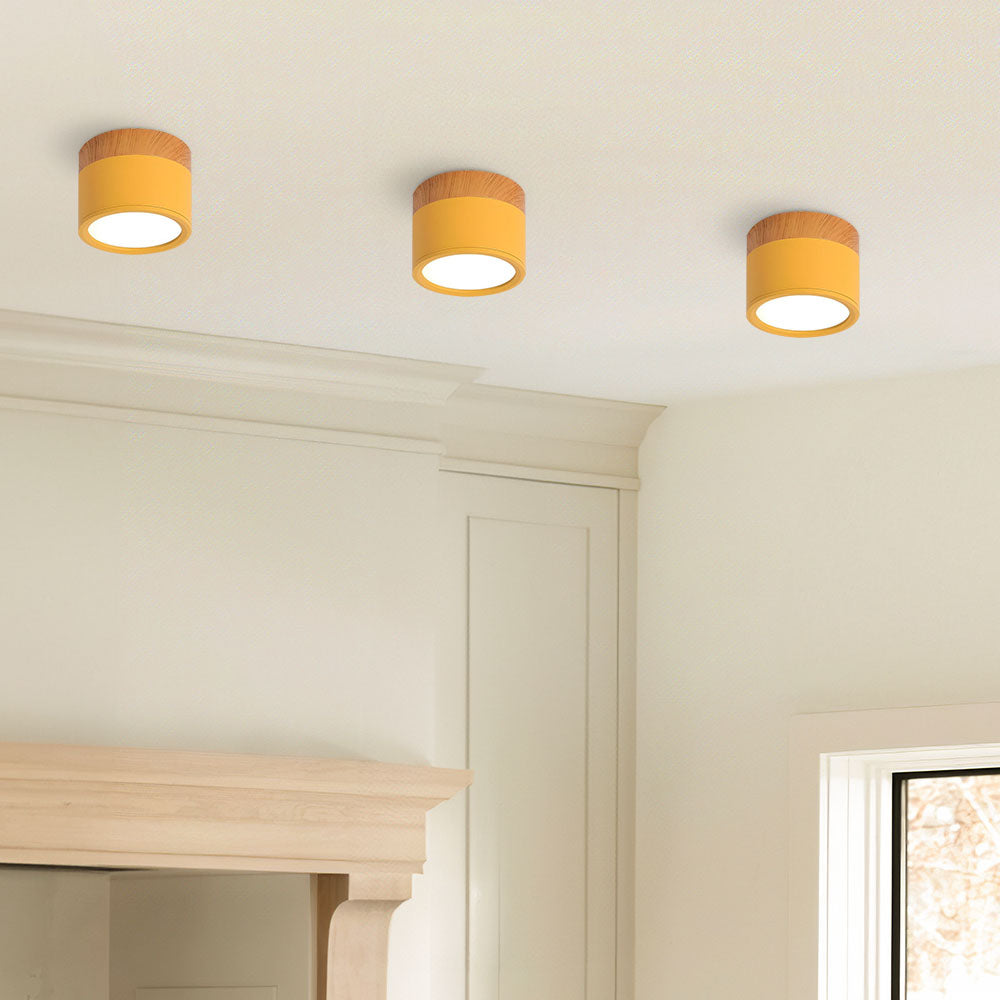 Small LED Flush Mount Ceiling Light Fixture – Modern Cylinder Ceiling Light