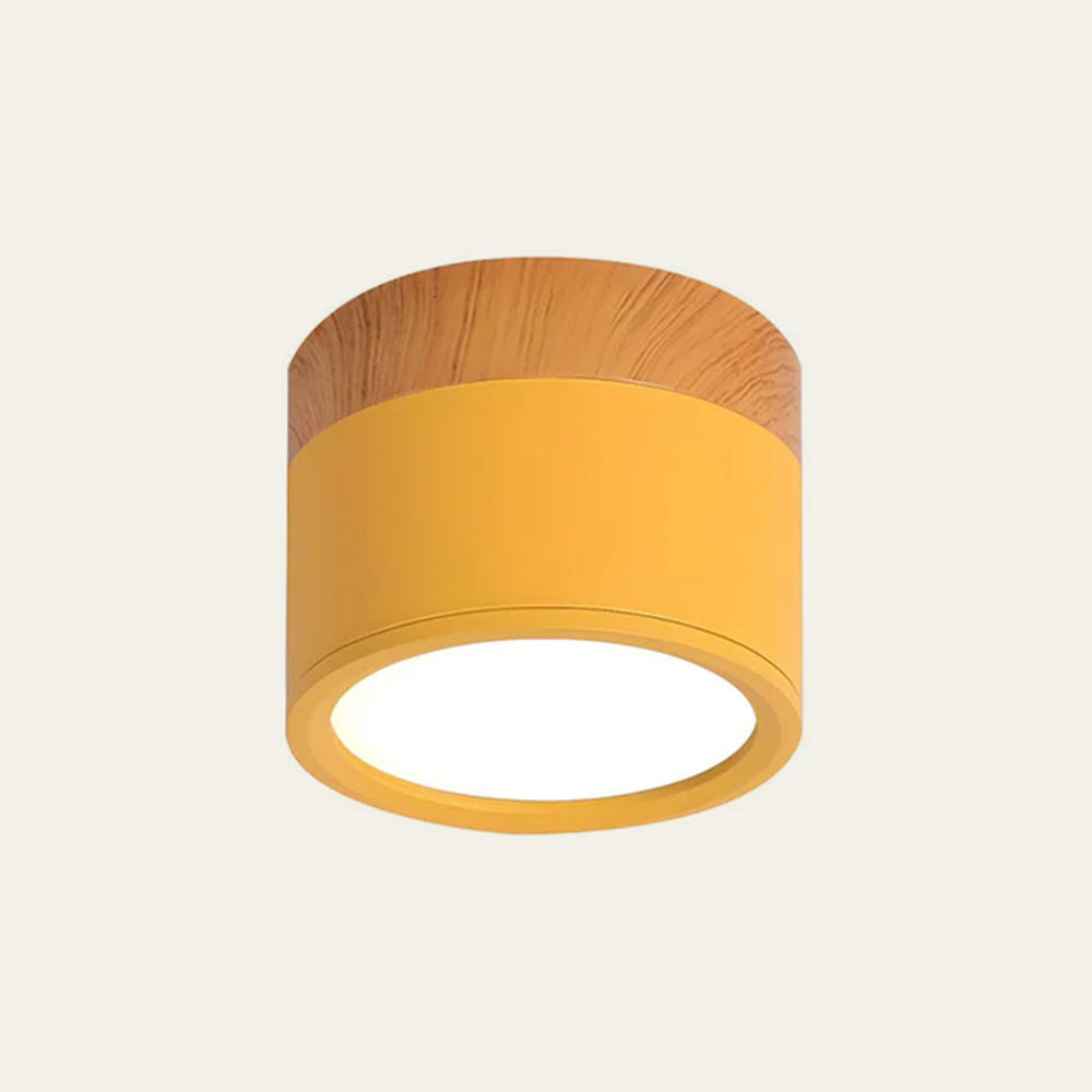 Small LED Flush Mount Ceiling Light Fixture – Modern Cylinder Ceiling Light