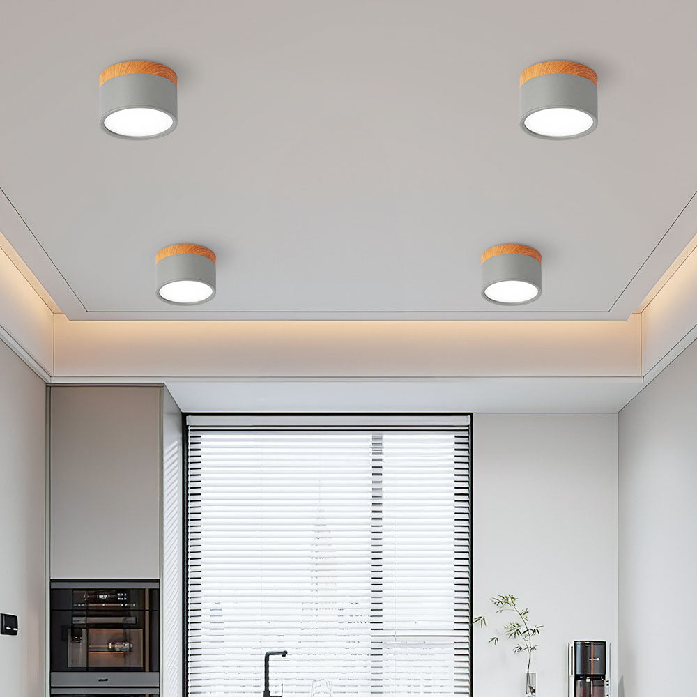 Small LED Flush Mount Ceiling Light Fixture – Modern Cylinder Ceiling Light