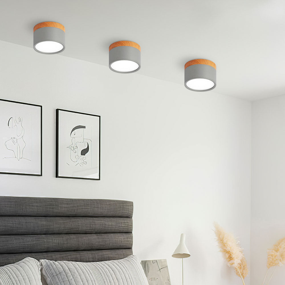 Small LED Flush Mount Ceiling Light Fixture – Modern Cylinder Ceiling Light