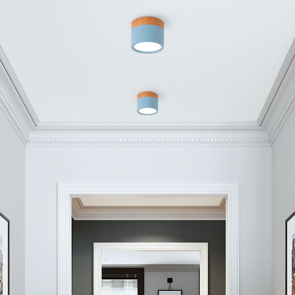 Small LED Flush Mount Ceiling Light Fixture – Modern Cylinder Ceiling Light
