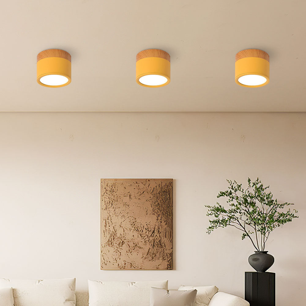 Small LED Flush Mount Ceiling Light Fixture – Modern Cylinder Ceiling Light