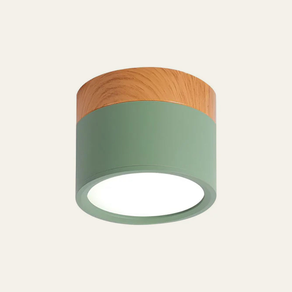 Small LED Flush Mount Ceiling Light Fixture – Modern Cylinder Ceiling Light