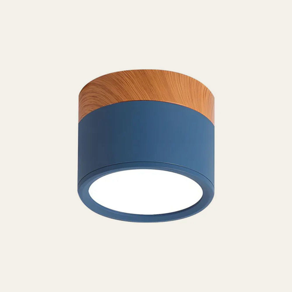 Small LED Flush Mount Ceiling Light Fixture – Modern Cylinder Ceiling Light