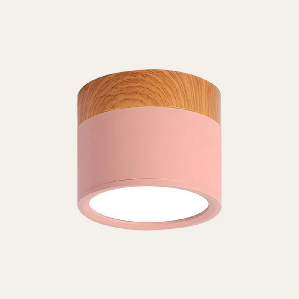 Small LED Flush Mount Ceiling Light Fixture – Modern Cylinder Ceiling Light